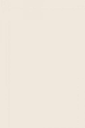 FARROW AND BALL SLIPPER SATIN NO. 2004 PAINT